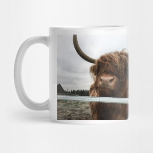 Scottish Highland Cattle Cow 2178 Mug